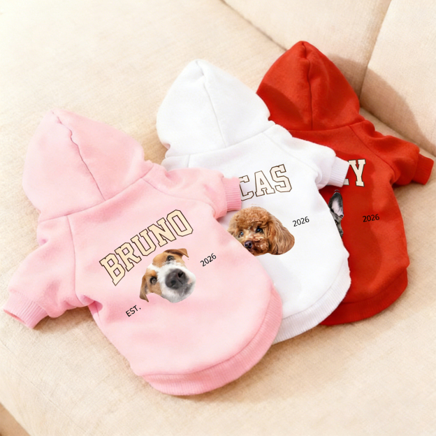 Personalized Funny Face Photo Soft Pet Hoodie | inCloth44
