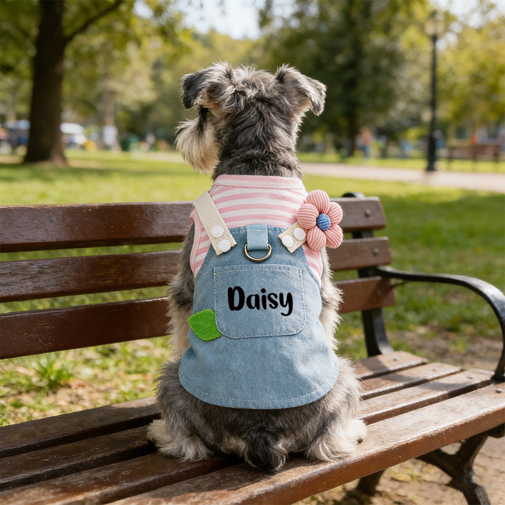 Personalized Name Pet Denim Overalls Dress  | inCloth49