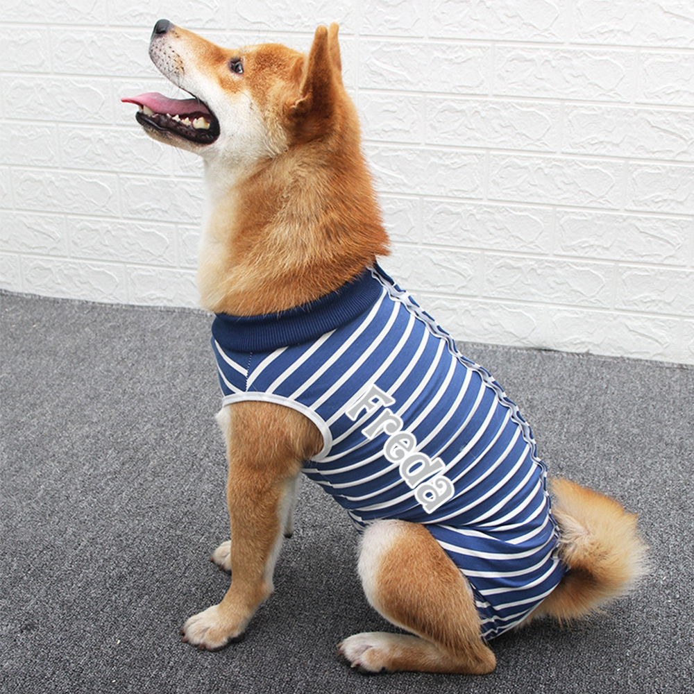 Personalized Name Anti Lick Pet Onesie | inCloth72