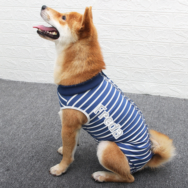 Personalized Name Anti Lick Pet Onesie | inCloth72