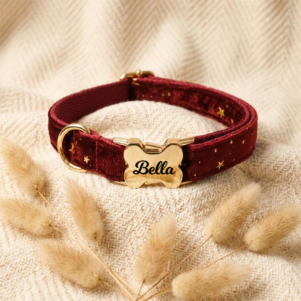 Personalized Engraved ID Pet Collar | inAccs40