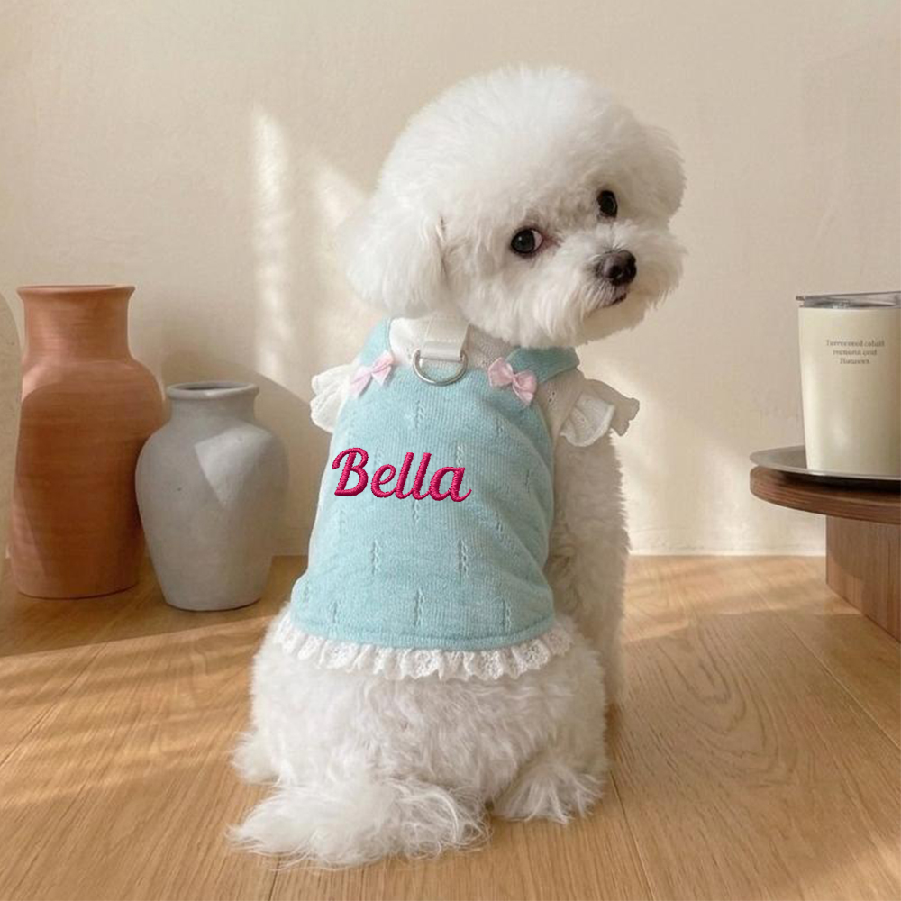 Personalized Embroidered Name Bowknot Dess | inCloth85