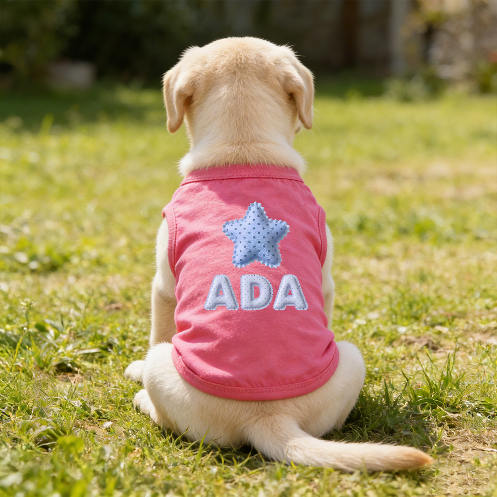 Personalized Name Funny Summer Pet Vest | inCloth89
