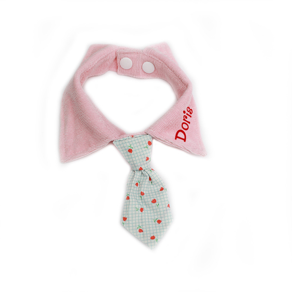 Personalized Name Adjustable Pet Tie Collar | inaccs46