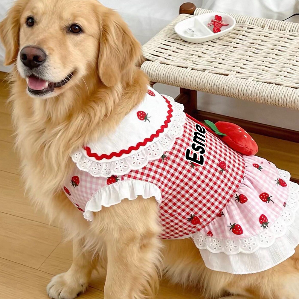 Personalized Name Strawberry Princess Pet Dress | inCloth93
