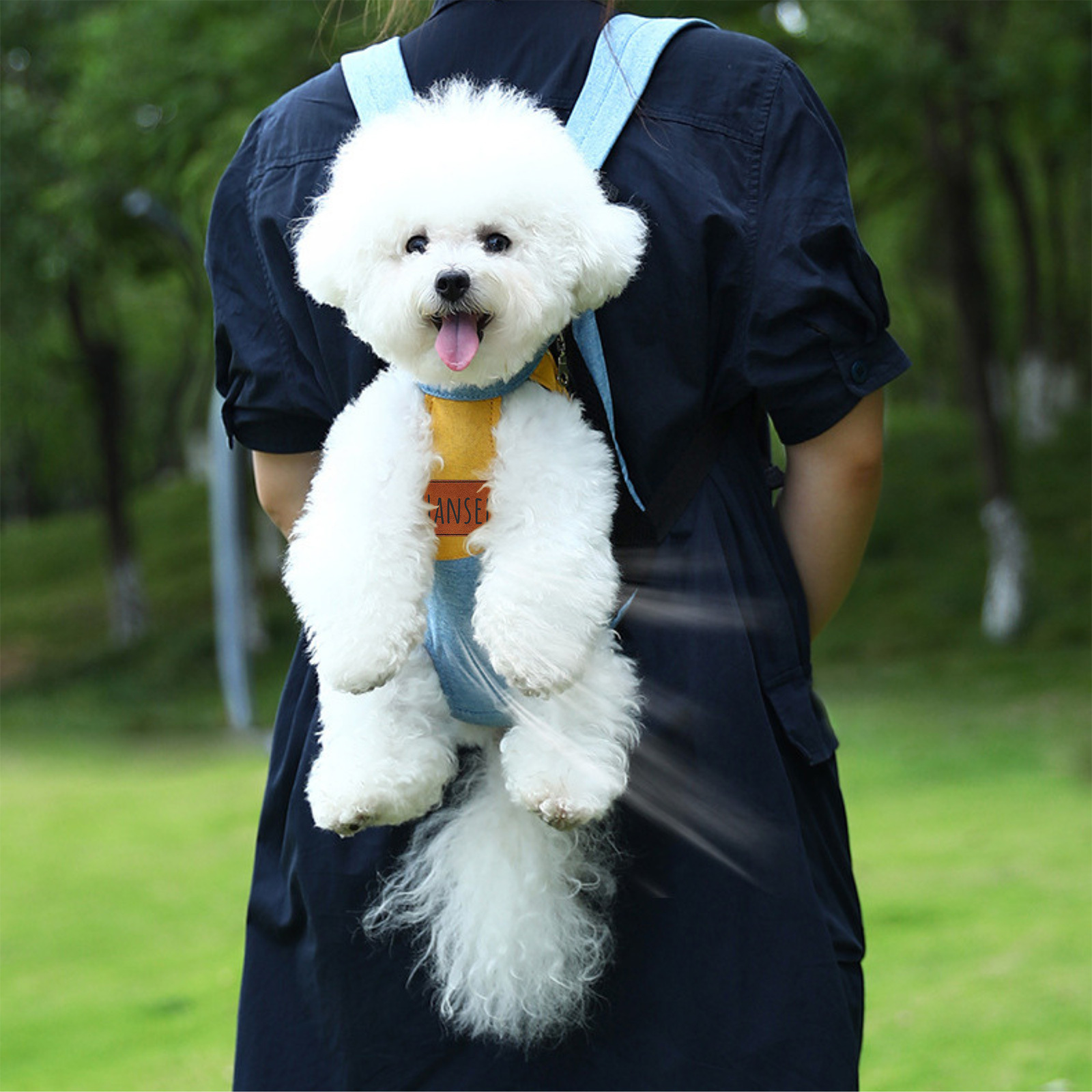 Personalized Leather Patch Name Pet Carrier Backpack | KKPet177