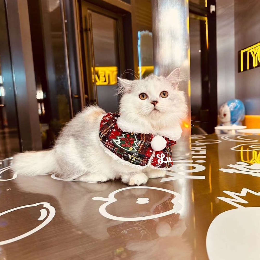 Personalized Christmas Pet Scarf with Plush Collar | KKPet315