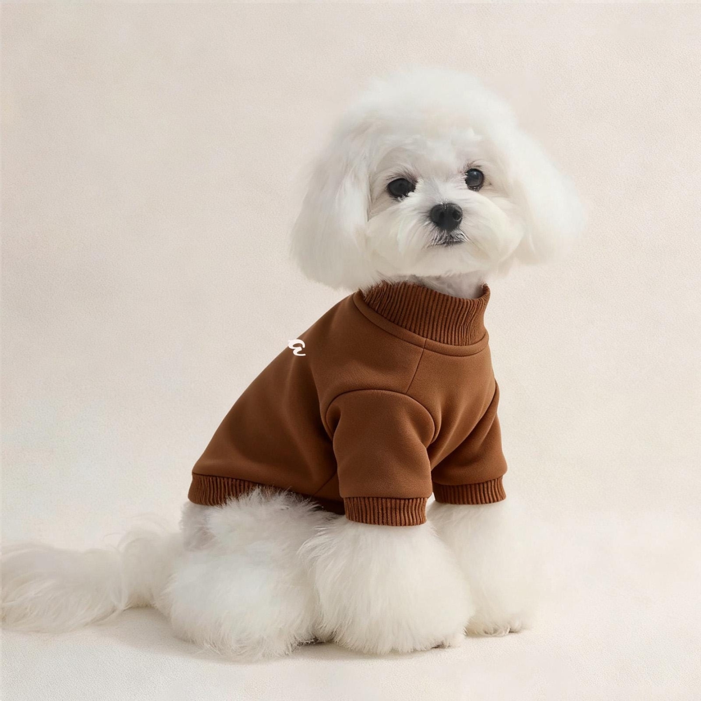 Personalized Name Pet Sweatshirt With Photo | inCloth26