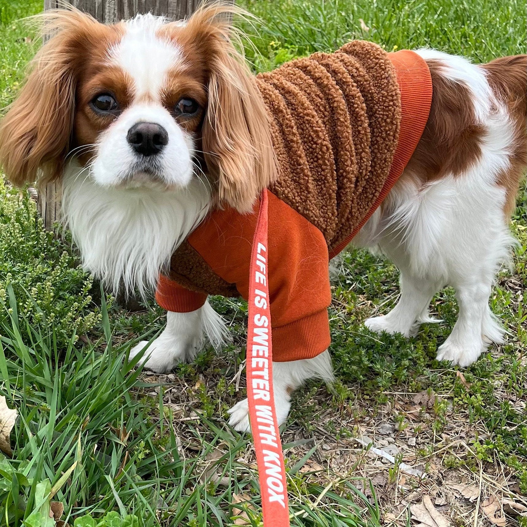 Personalized Microfiber Soft Pet Leash | inAccs56