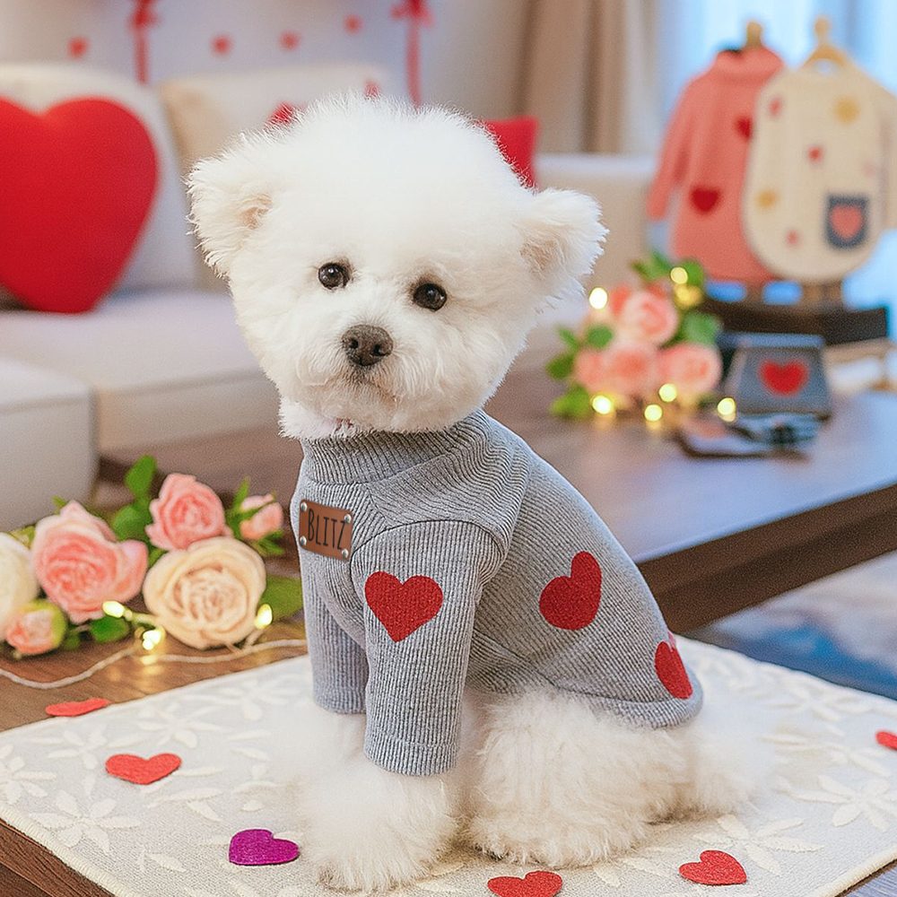 Personalized Leather Patch Name Valentine’s Day Pet Sweater | KKPet383