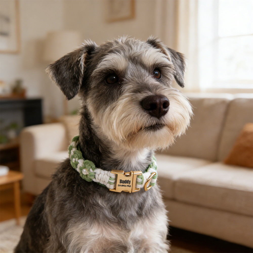 Personalized Engraved Name Woven Flower Pet Collar | inAccs04