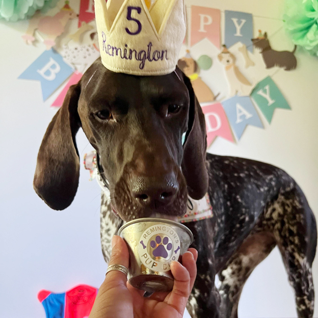 Personalized Pet Stainless Steel Reusable Mini Pup Cup Mug | BKPet273