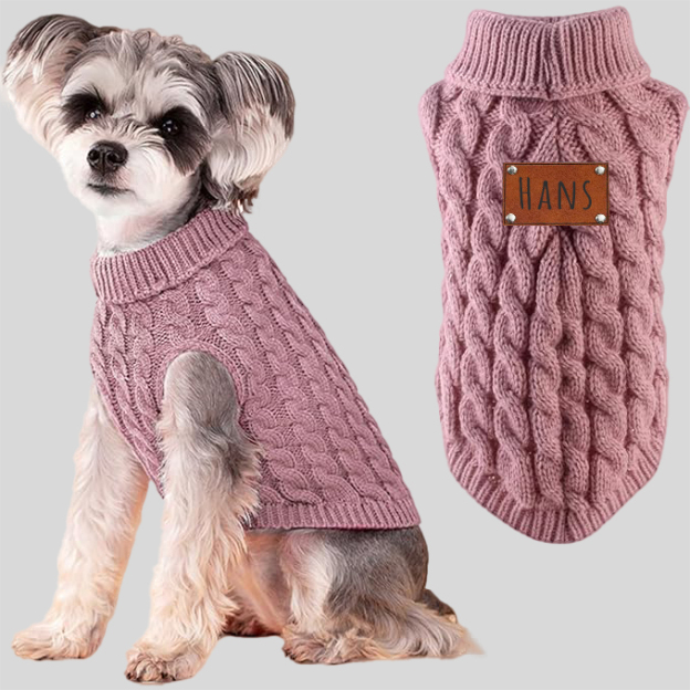 Personalized Name Winter Pet Sweater Vest | KKPet59