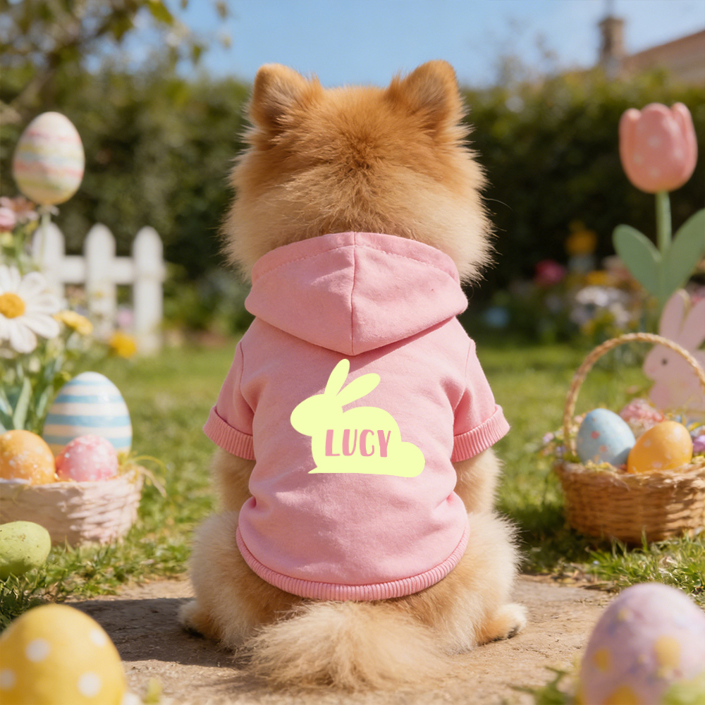 Personalized Name Easter Bunny Pet Hoodie | inCloth03