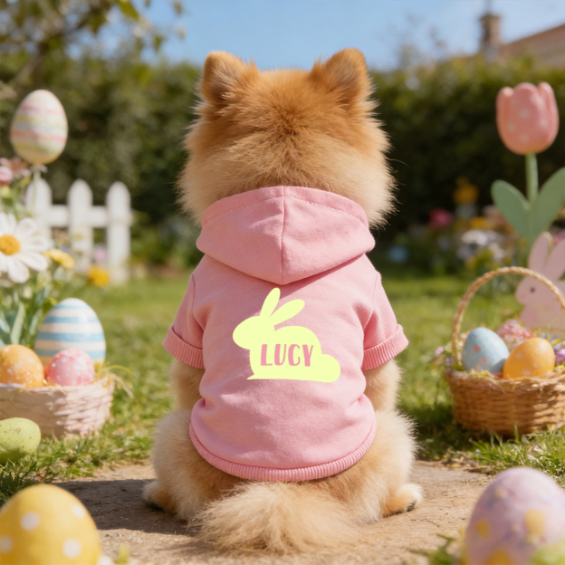 Personalized Name Easter Bunny Pet Hoodie | inCloth03