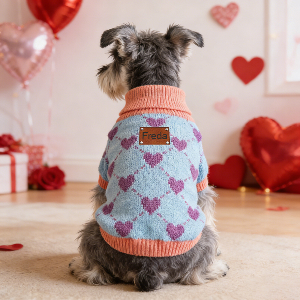 Personalized Heart Pattern Pet Sweater | inCloth05