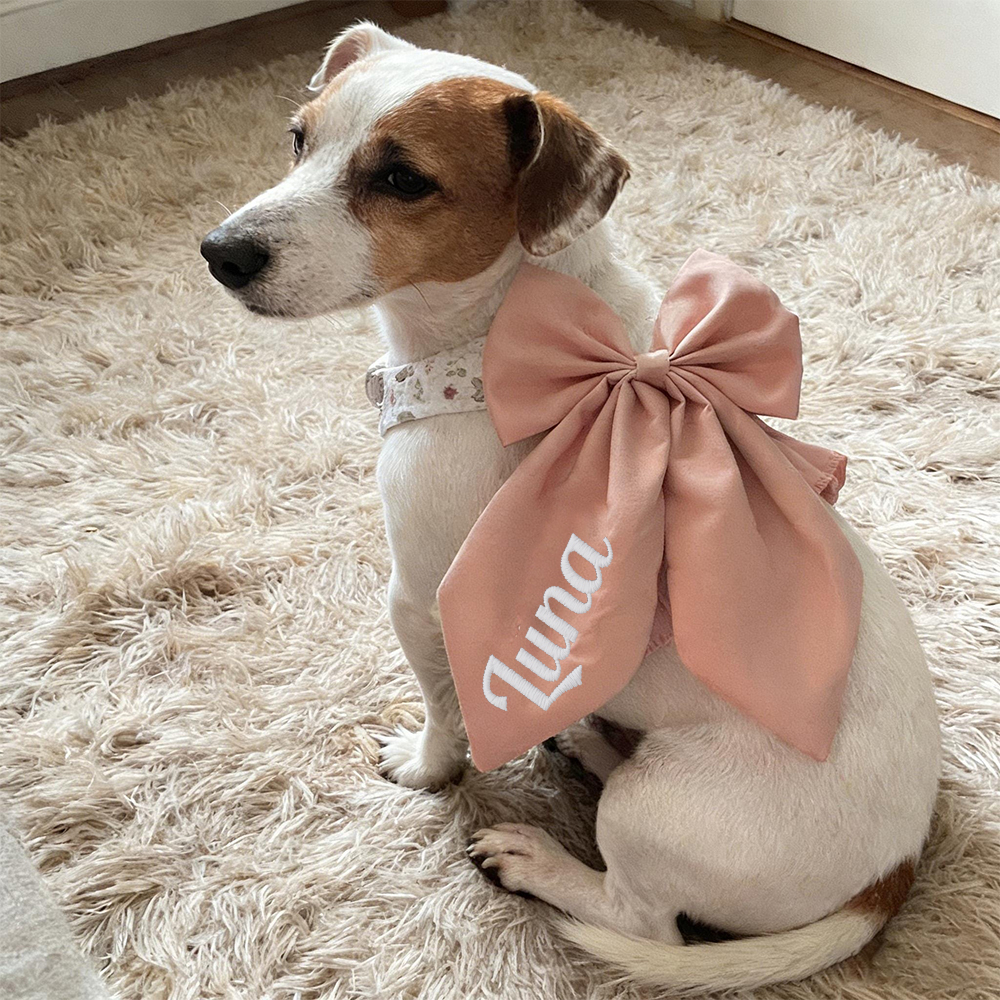 Personalized Embroidered Name Pet Floral Harness | inAccs08