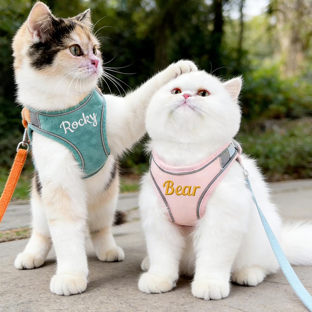 Personalized Embroidered Name Pet Harness with Leash | inAccs09