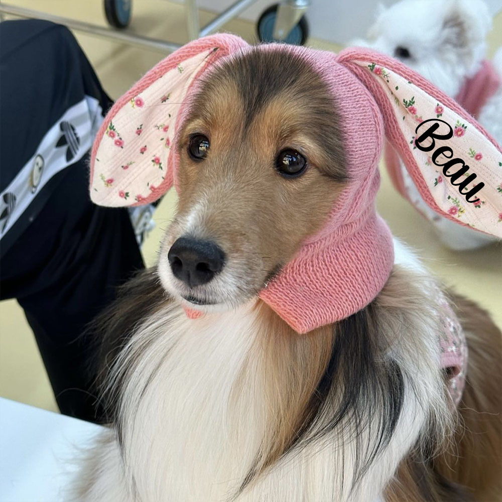 Personalized Easter Pet Knitted Bunny Ear Hat | inAccs14