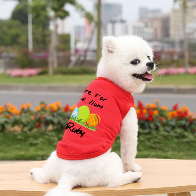 Personalized Easter egg hunt Pet Shirt | inCloth13