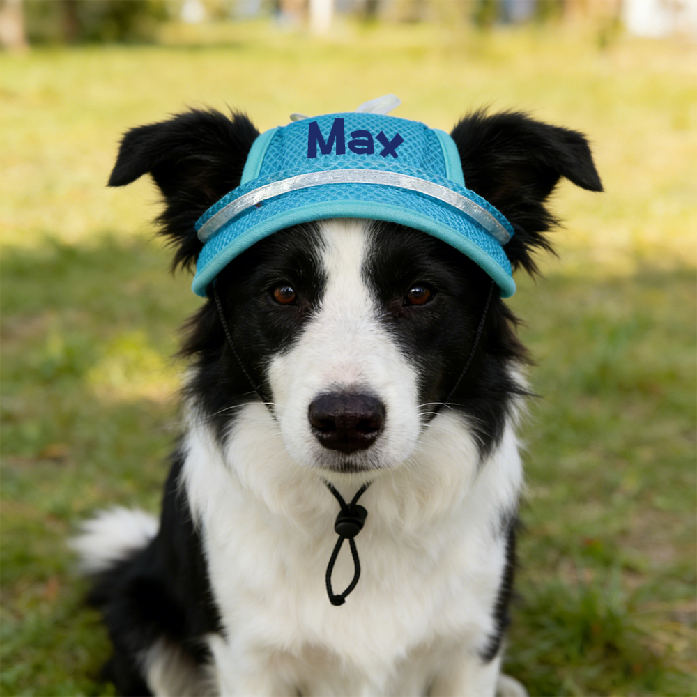 Personalized Name Pet Breathable Mesh Hat | inHat02