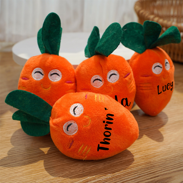 Personalized Pet Squeaky Carrot Plush Toy  | inToy06