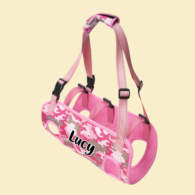 Personalized Name Dog Walking Aid Harness | inAccs24