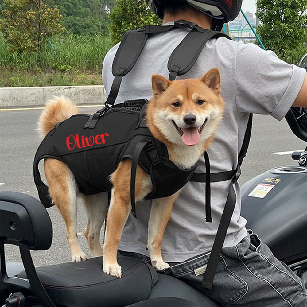 Personalized Name Outdoor Portable Breathable Pet Backpack | inAccs27