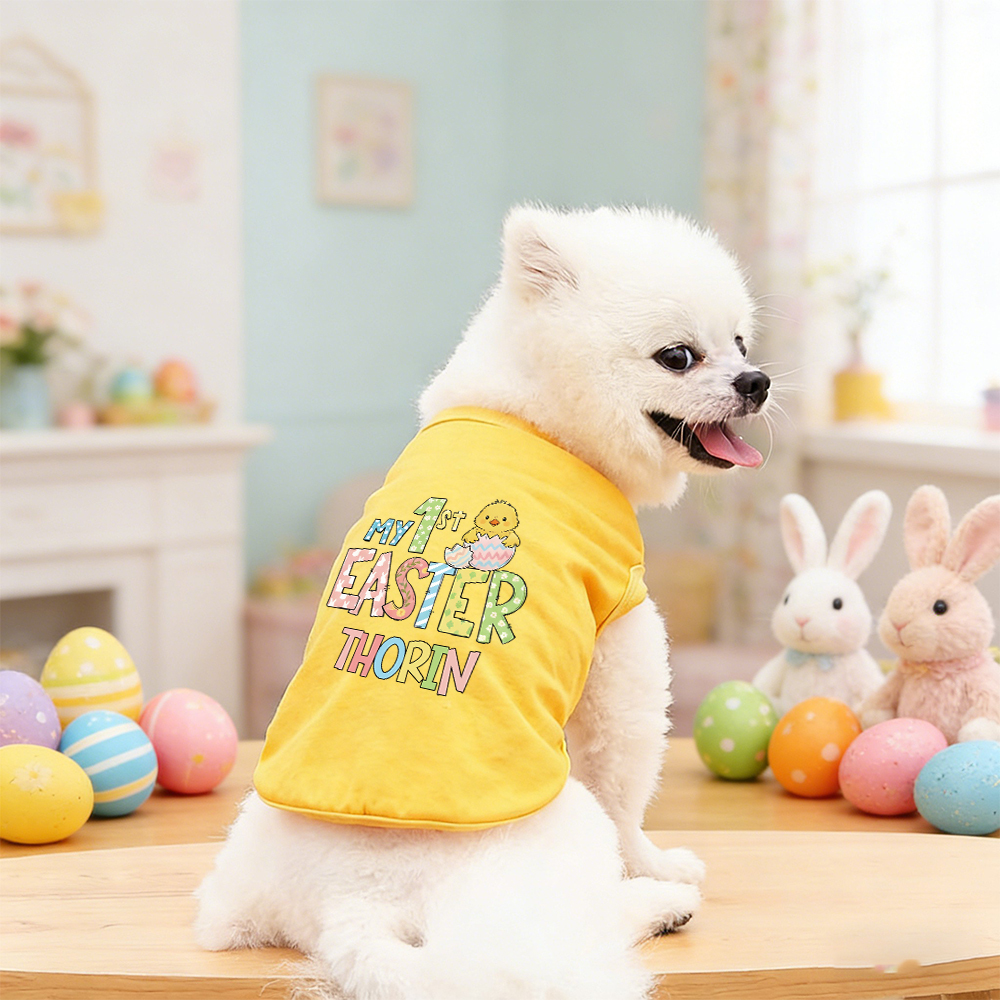 Personalized Pet's First Easter Shirt | inCloth35