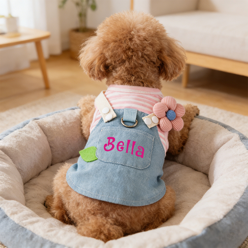 Personalized Name Pet Denim Overalls Dress  | inCloth49