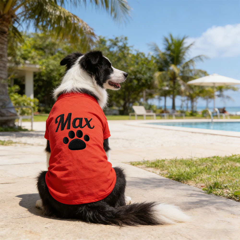 Personalized Embroidered Name Pet Summer T-Shirt | inCloth75