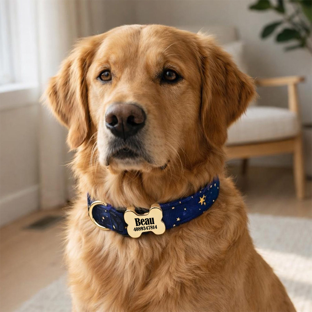 Personalized Engraved ID Pet Collar | inAccs40