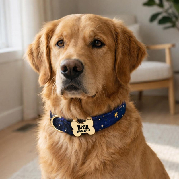 Personalized Engraved ID Pet Collar | inAccs40