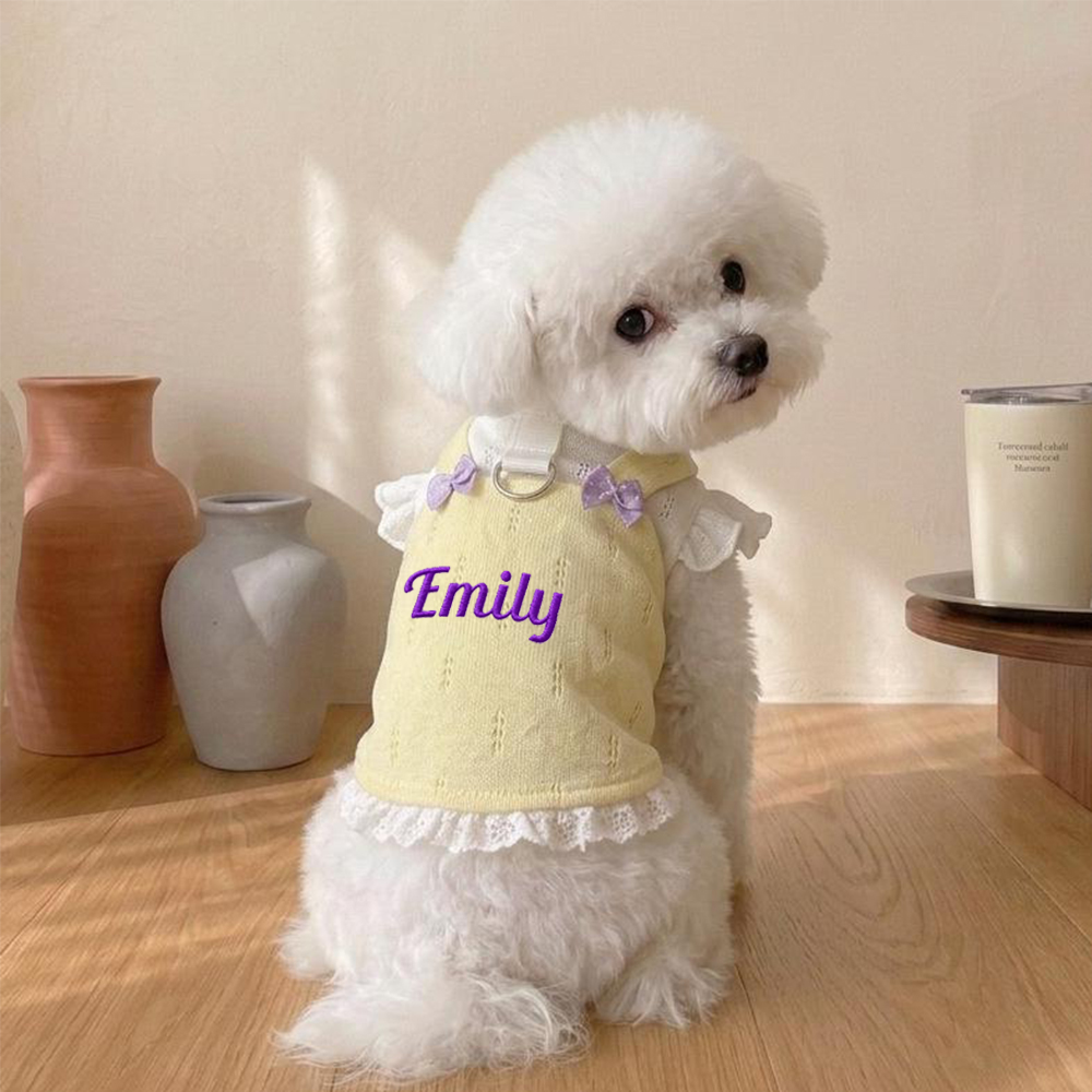 Personalized Embroidered Name Bowknot Dess | inCloth85