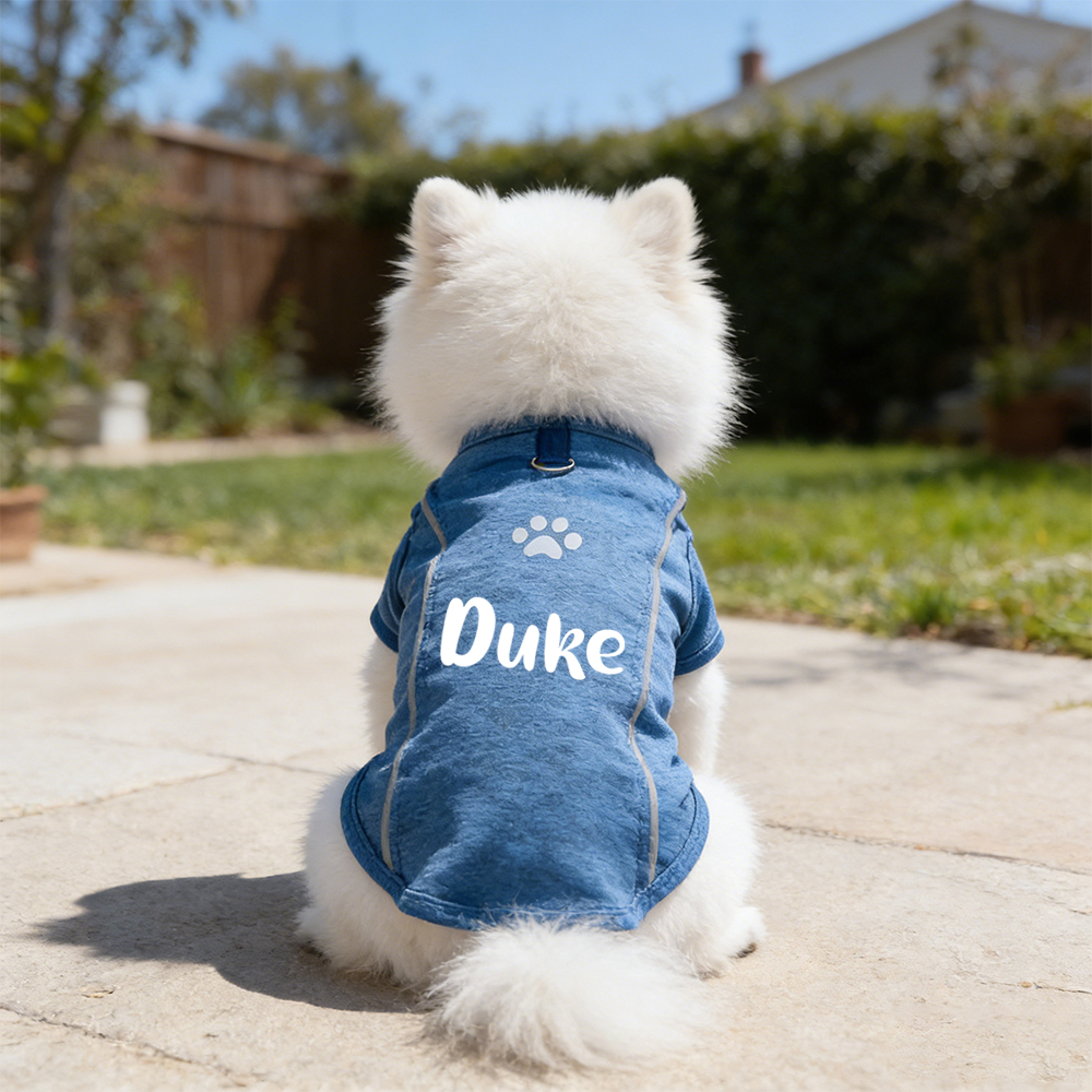 Personalised Summer Breathable Reflective Pet Shirt | inCloth88