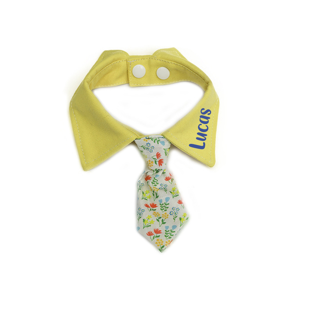 Personalized Name Adjustable Pet Tie Collar | inaccs46