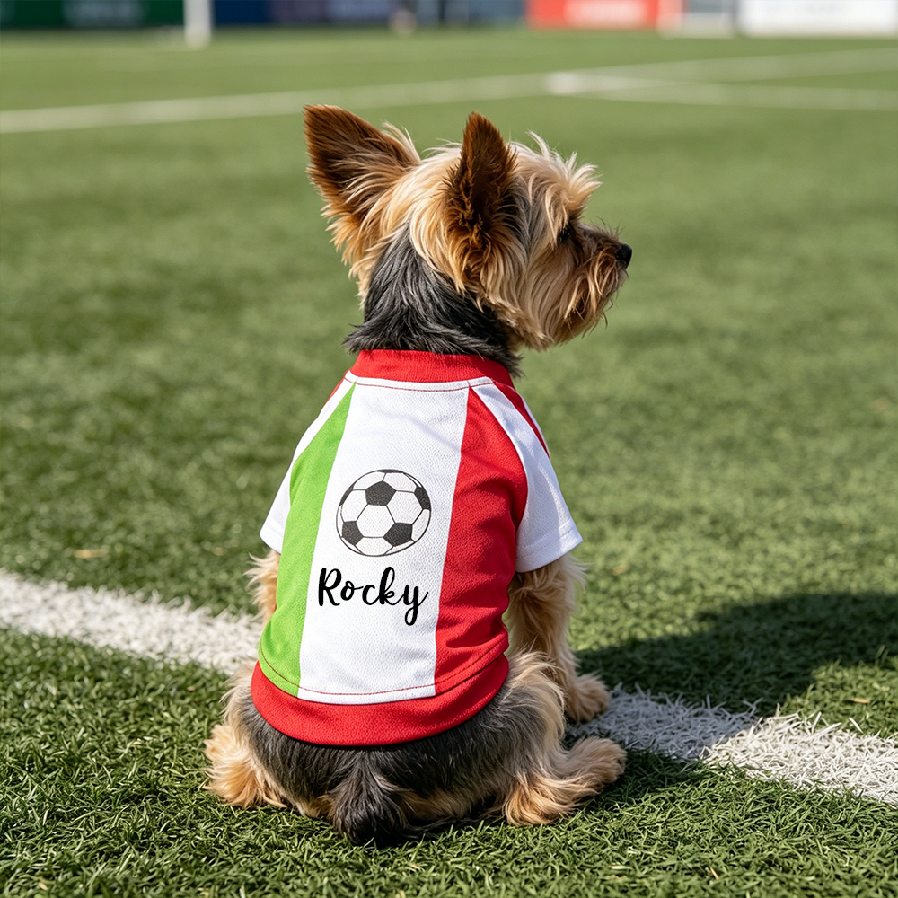 Personalized Pet Match Day Soccer Jersey | inCloth103