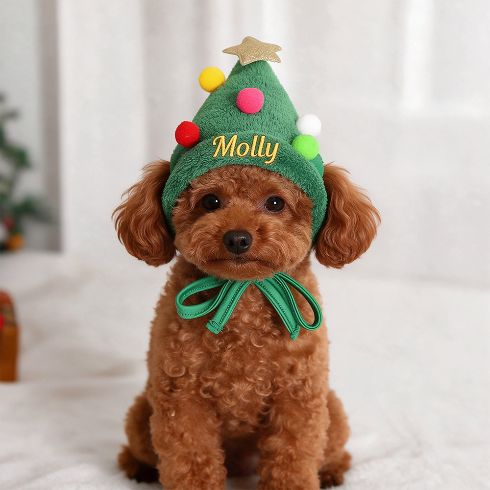 Personalized Embroidered Name Christmas Pet Hat | inHat08