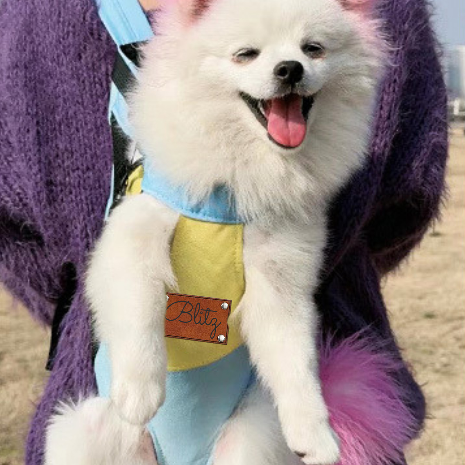 Personalized Leather Patch Name Pet Carrier Backpack | KKPet177