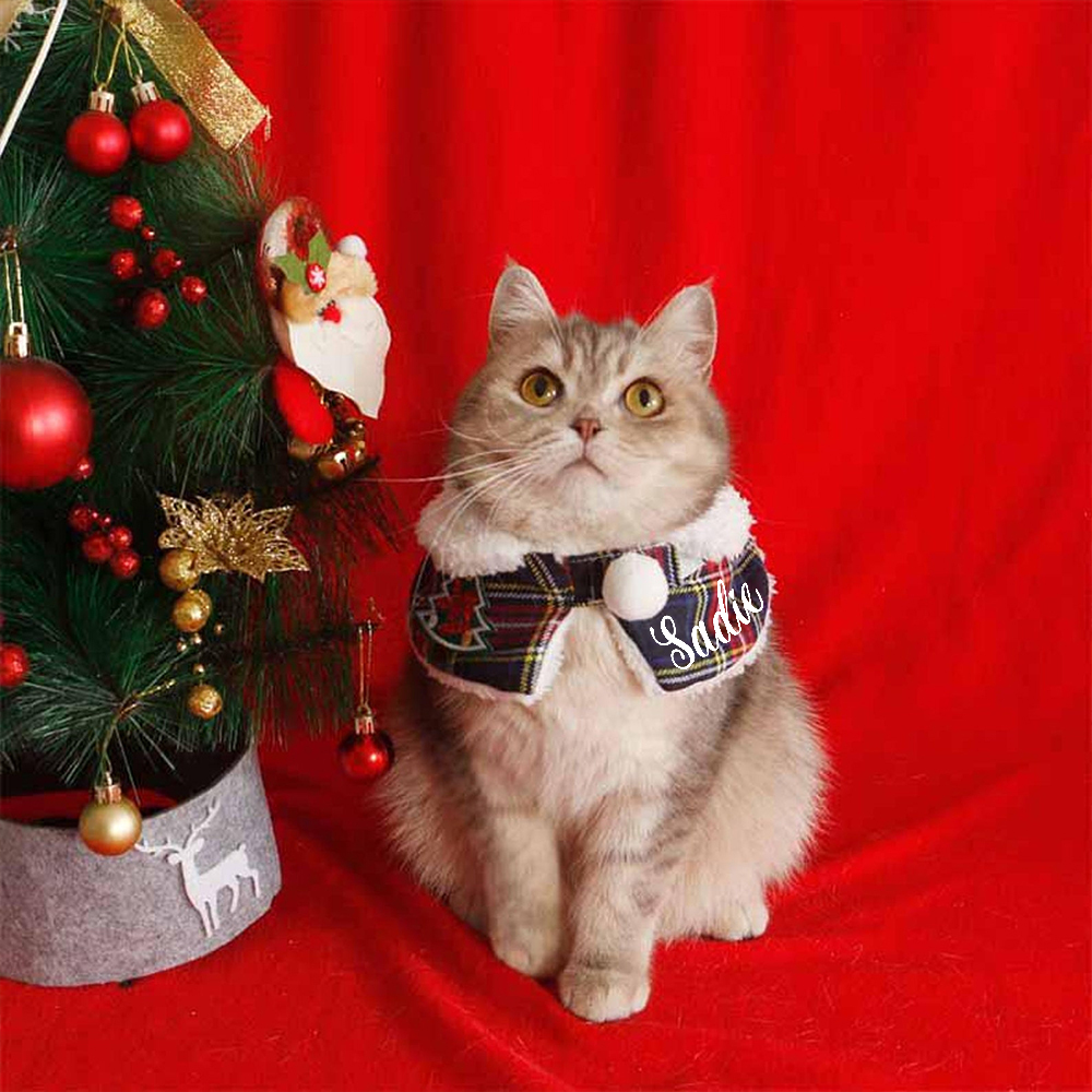 Personalized Christmas Pet Scarf with Plush Collar | KKPet315