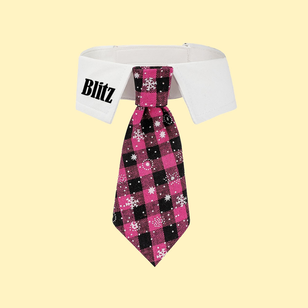 Personalized Name Christmas Pet Tie | KKPet327