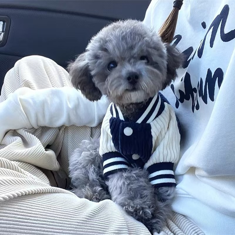 Personalized Embroidered Pet Baseball Jacket | KKPet395