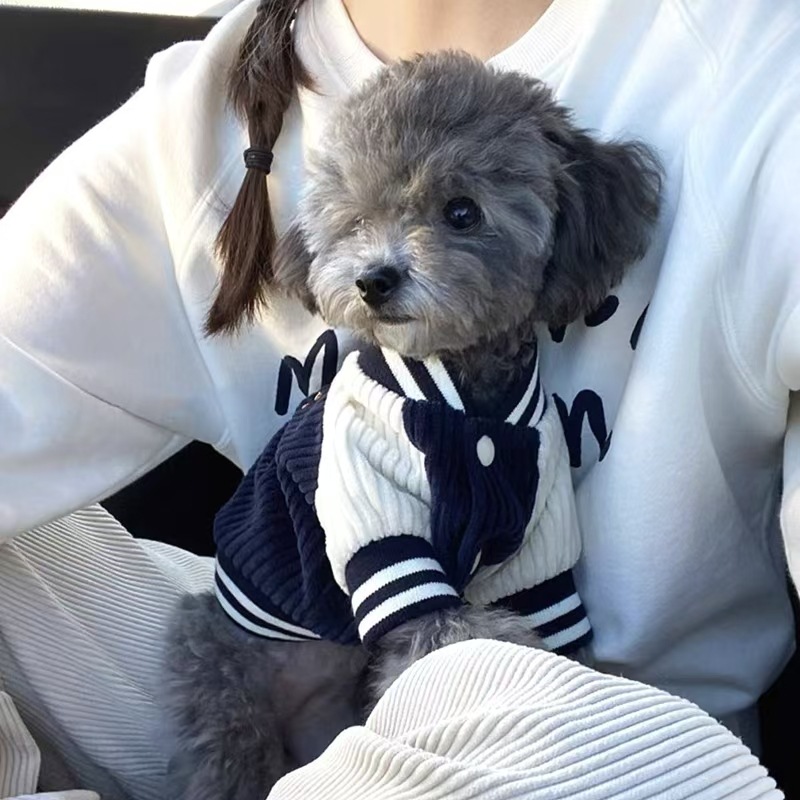 Personalized Embroidered Pet Baseball Jacket | KKPet395