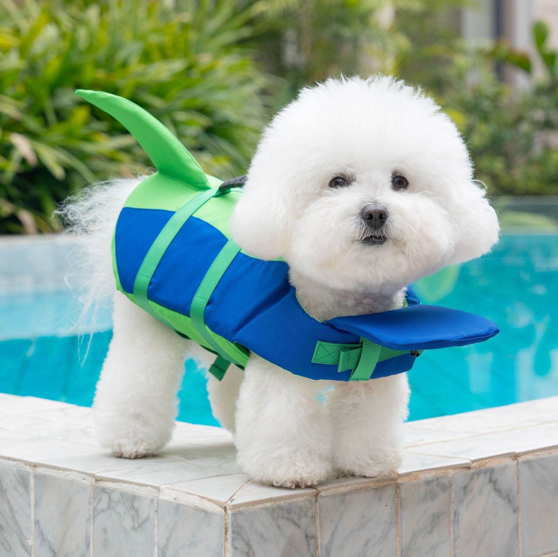 Personalized Name Summer Shark Pet Life Jacket | inCloth96