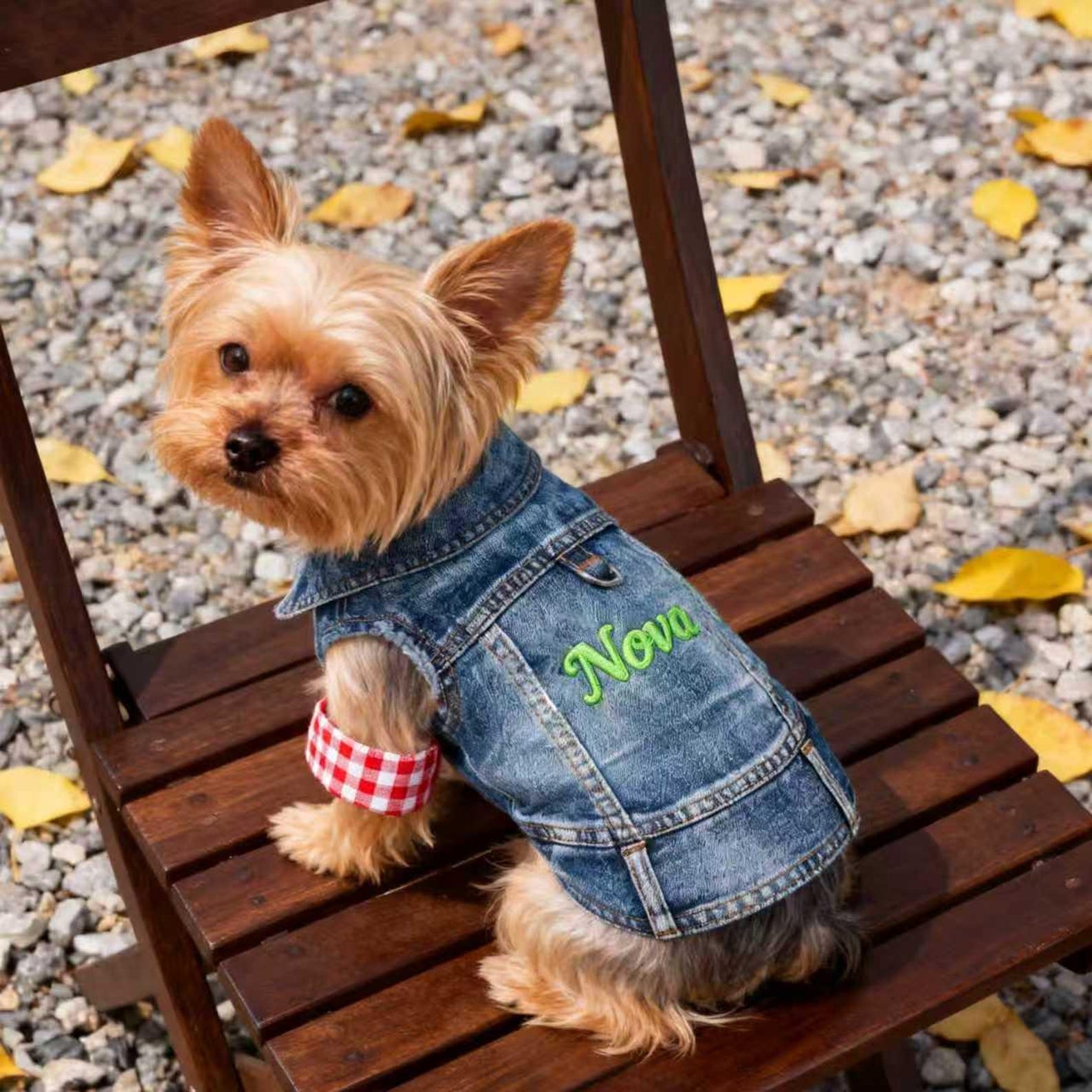 Personalized Embroidered Name Pet Denim Vest | inCloth63