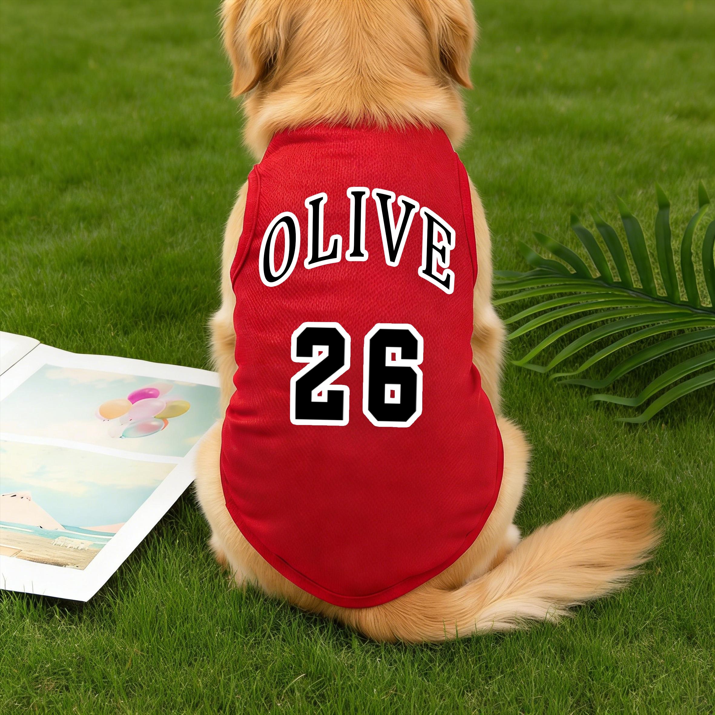 Personalized Breathable Pet Vest with Name & Number | inCloth55