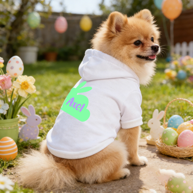Personalized Name Easter Bunny Pet Hoodie | inCloth03
