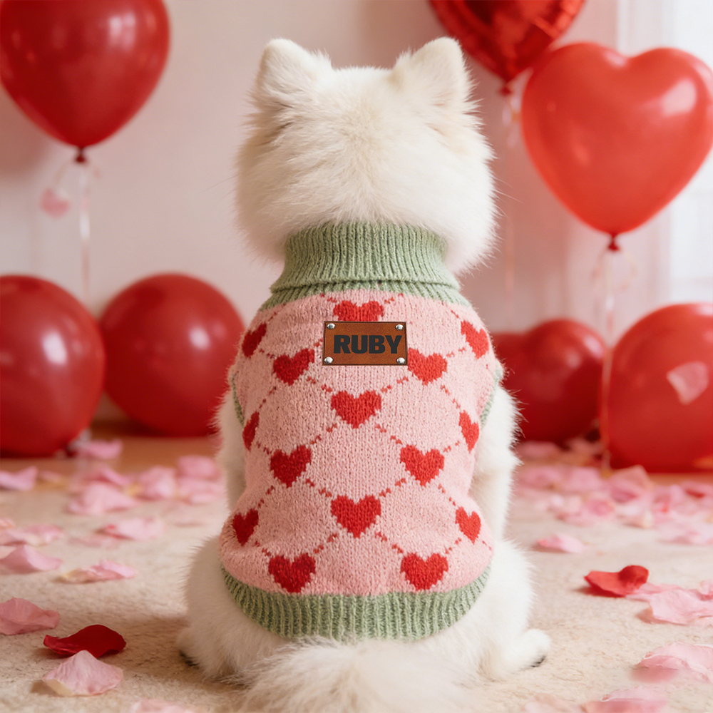 Personalized Heart Pattern Pet Sweater | inCloth05