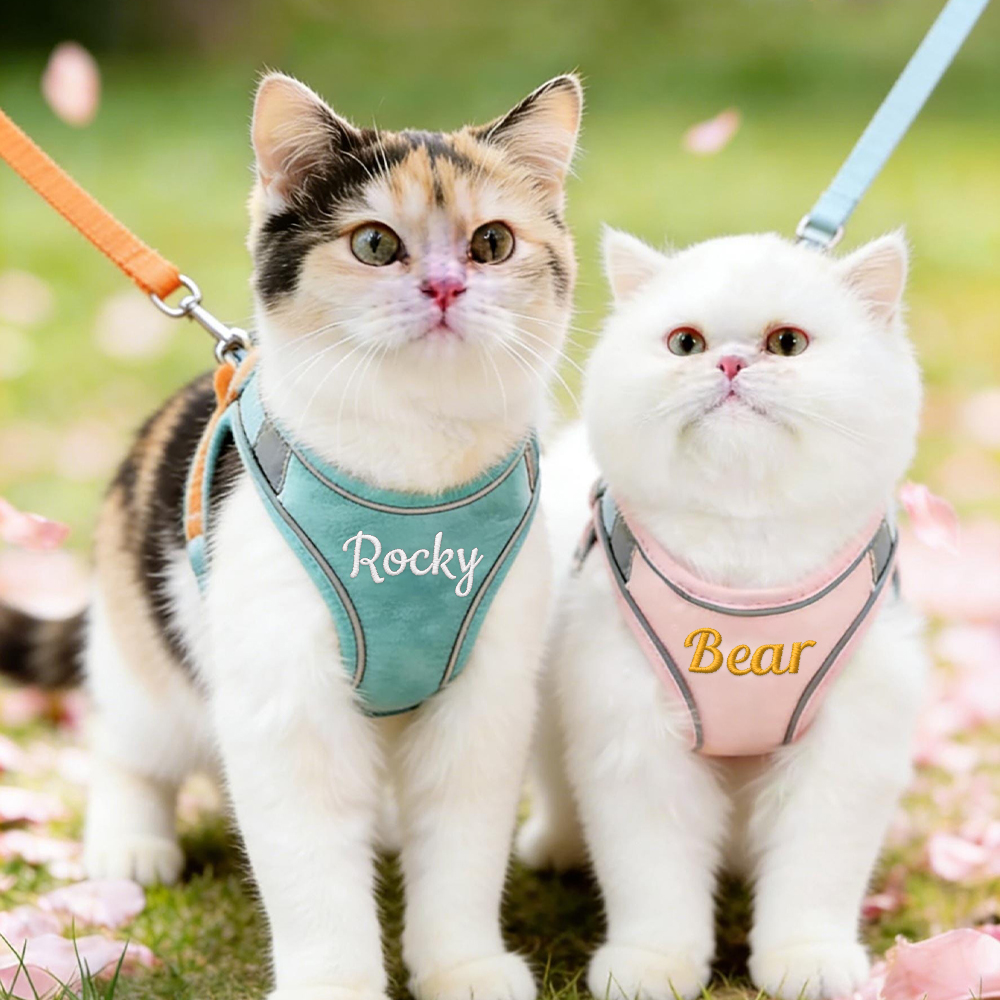 Personalized Embroidered Name Pet Harness with Leash | inAccs09