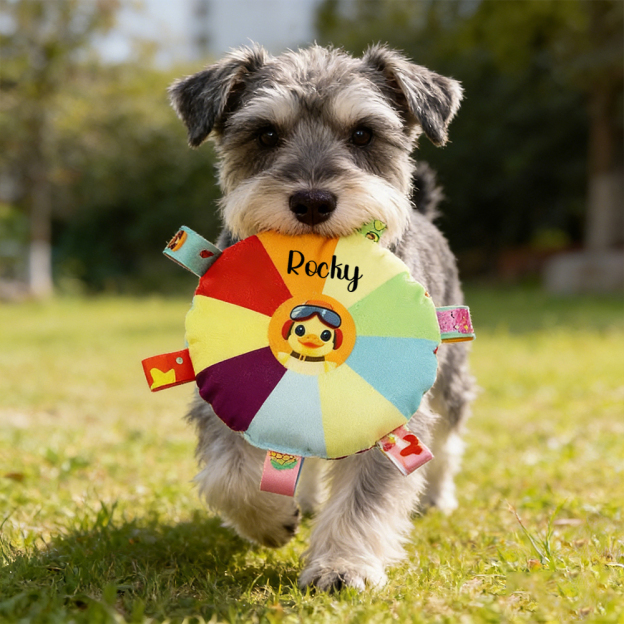 Personalized Pet Colorful Plush Chew Toy | inToy02